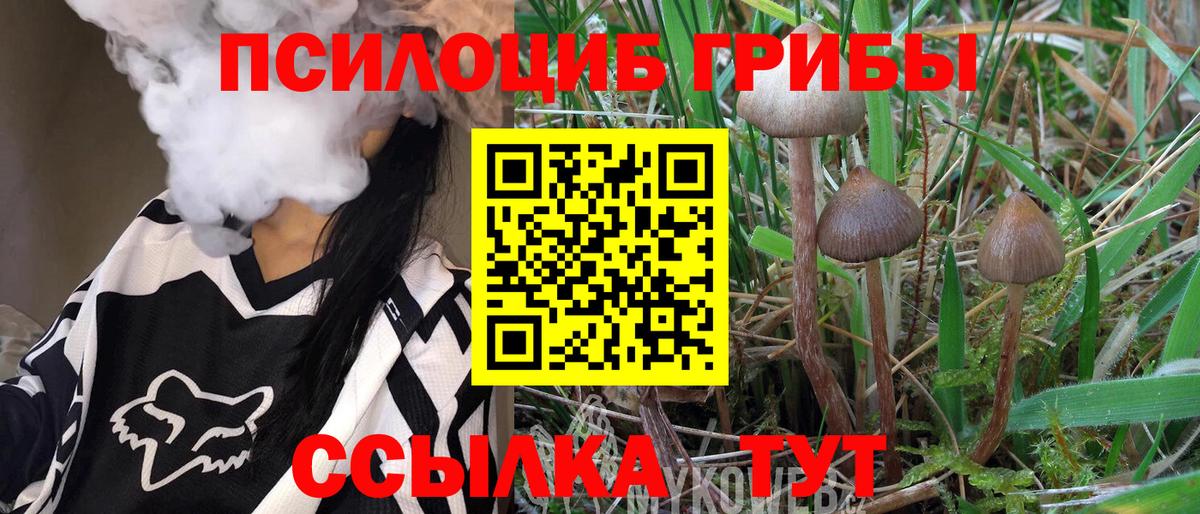 Псилоцибиновые грибы Magic Shrooms  Псилоцибиновые грибы прущие грибы  сколько стоит  Вход с VPN  Новочеркасск 