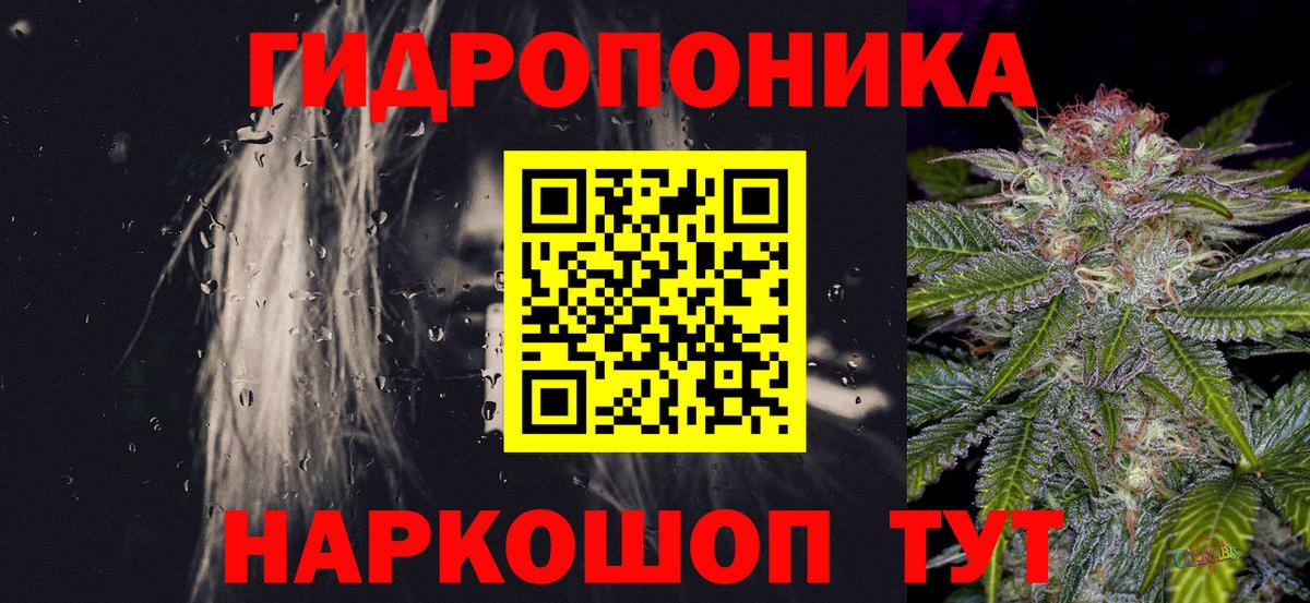 Бошки Шишки White Widow  Конопля гибрид  Новочеркасск  Бошки марихуана семена  Бошки Шишки семена  Вход с VPN 